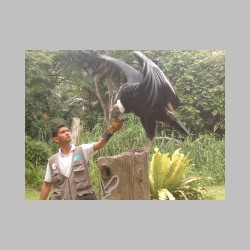 drapieznik a je z reki.html